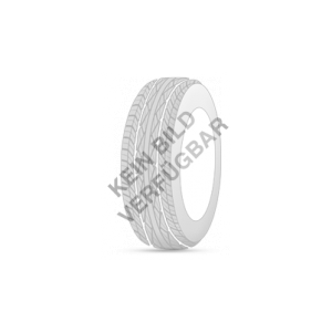 leao WINTER DEFENDER UHP 195/55R16 91 H
